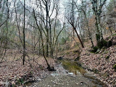 000 Leatherwood Rd, Sevierville, TN 37876 - photo 7