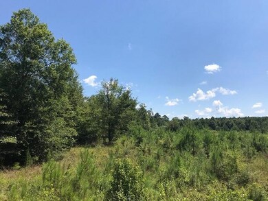 IMG_1102
