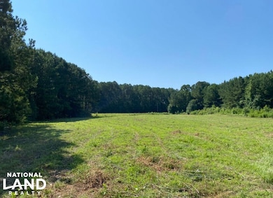 Highway 145, Columbiana, AL 35051 - photo 2