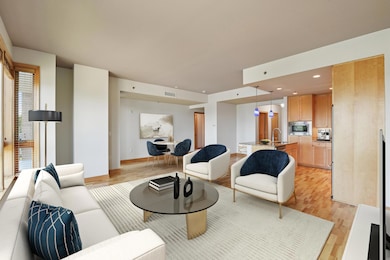 4201 Sunset Dr unit N407, Spring Park, MN 55384 - photo 3