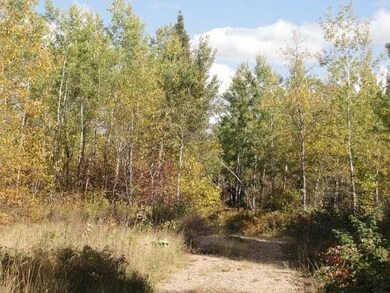 12.5 ac. Schmidt Ln, Argonne, WI 54511 - photo 7