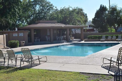 AWESOME COMMUNITY POOL AREA!!