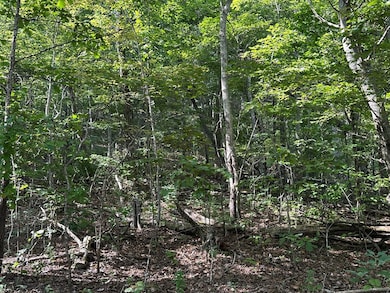 257 Andes Ridge, Ellijay, GA 30436 - photo 5