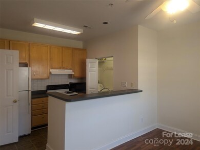 917 Shearer St unit 18, Davidson, NC 28036 - photo 7