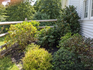 Side garden