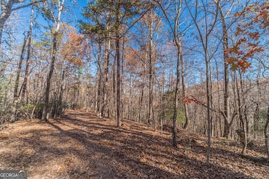 0 Arborwood Dr unit 10645890, Dahlonega, GA 30533 - photo 7