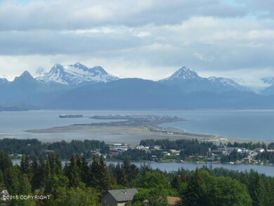 Homer Spit View