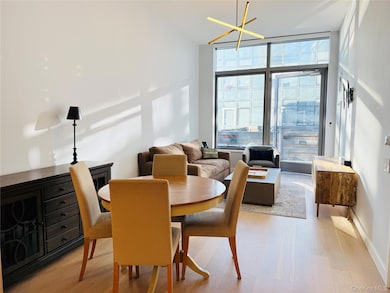 Skyline Tower unit 533, Long Island City, NY 11101 - photo 3