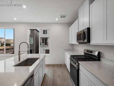 10764 Lewanee Point, Colorado Springs, CO 80908 - photo 6