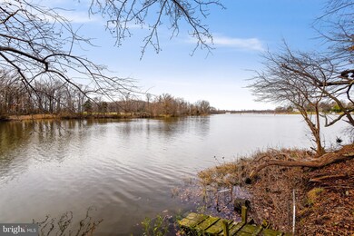 222 Harbor Ln, Queenstown, MD 21658 - photo 5