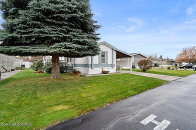 Front of Home with Beautiful Tree view