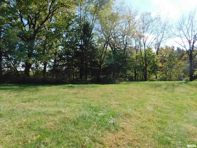 2517 State Highway 17, Viola, IL 61486 - photo 5