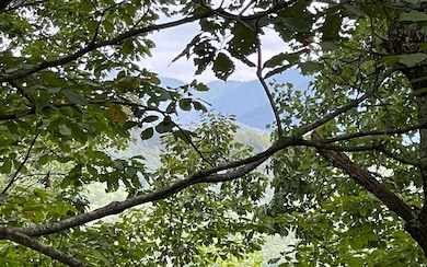 LOT 20 Enchanted Ridge, Hayesville, NC 28904 - photo 2