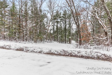 6007 S Cypress Ave, Croton Township, MI 49337 - photo 3