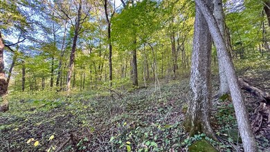 5139 Peggy Hollow Rd, Shoals, IN 47581 - photo 4