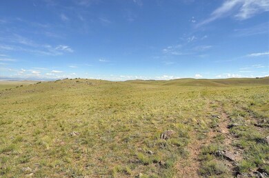 378 Cedar Ln unit 75, Hartsel, CO 80449 - photo 7