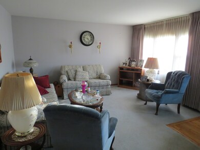 328 Amarillo Dr, Carpentersville, IL 60110 - photo 5