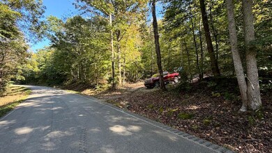 0 Olaton Rd unit LotWP001, Olaton, KY 42361 - photo 5