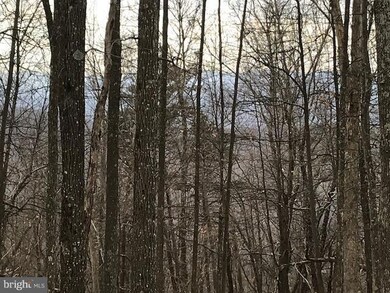 TR C - D Mattie Snyder Rd, Lost River, WV 26812 - photo 6