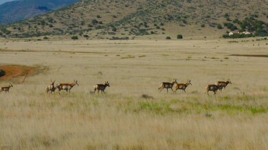 Plenty of Room for All!