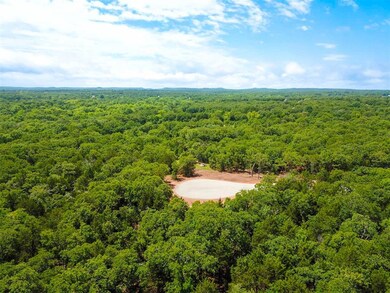Drone / aerial view of a forest