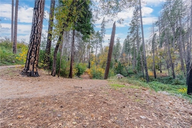 1770 Heynen Rd, Paradise, CA 95969 - photo 6