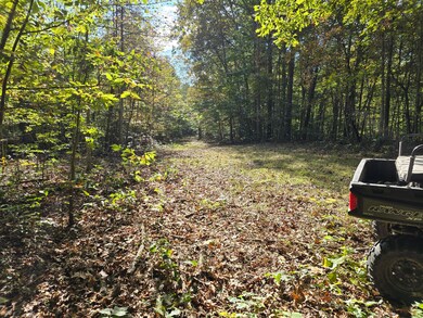 0 Salisbury Rd unit 921737, Eagle Rock, VA 24085 - photo 7