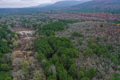 0000 County Line Rd, Booneville, AR 72927 - photo 5