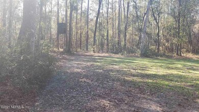 255 Indian Lakes Forest Rd, Florahome, FL 32140 - photo 5