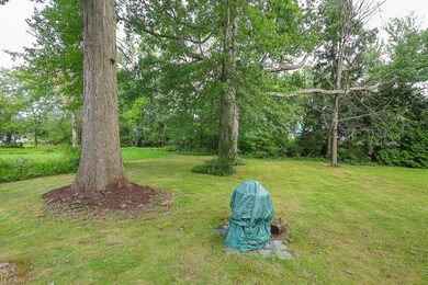 View of Park Like yard