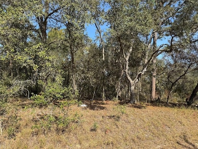 0 SE 115 Place Rd unit MFRG5104731, Ocklawaha, FL 32179 - photo 2