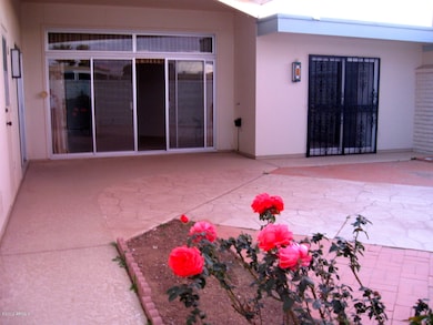 Backyard Patio
