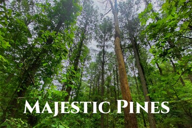 0000 Sugarberry Trail, Hochatown, OK 74728 - photo 5