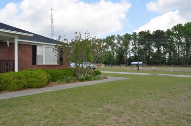 Side view to goat pasture from home