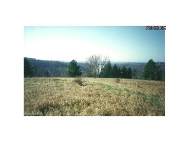 TOP of the Hill at Lake Buckhorn