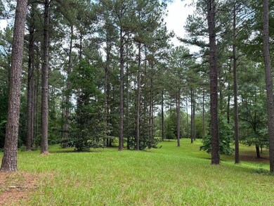 215 Grafton Rd, Laurel, MS 39443 - photo 7