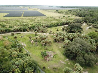 View of rural area featuring abundant farmland