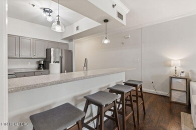 River Towne Condominiums unit 105, Knoxville, TN 37920 - photo 6