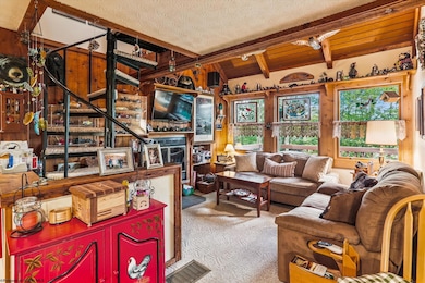 115 Grizzly Way, Davis, WV 26260 - photo 3