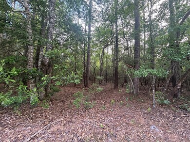 Lot 8 & 9 E Wildwood Dr, Wildwood, TX 77664 - photo 5