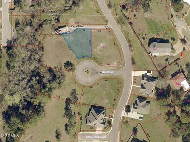 364 Cattail Cove aerial 3
