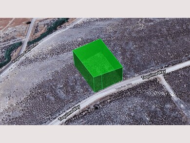 110 Toquima Way, Austin, NV 89310 - photo 3