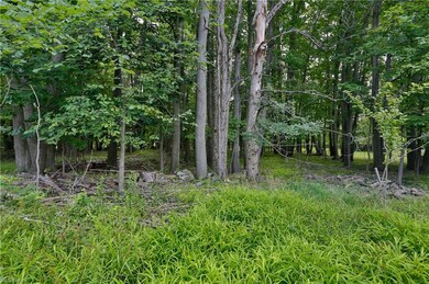 Wooded area behind property.