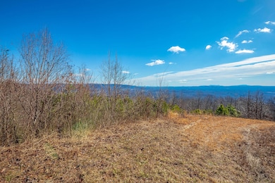 0 Spring Pond Trail, Cana, VA 24317 - photo 2