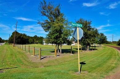 14235 Tierra Grande Dr, Needville, TX 77461 - photo 5