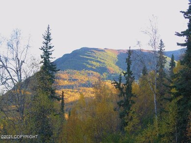 looking east toward Bear Mtn