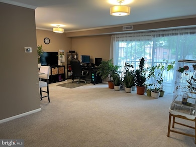 205 Erin Way unit 102, Reisterstown, MD 21136 - photo 7