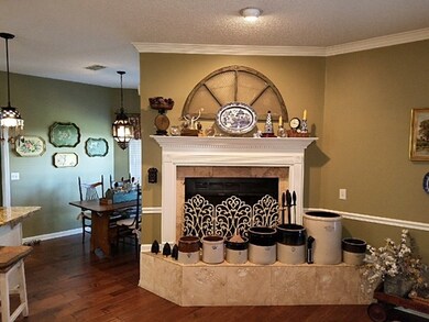Wood burning fireplace