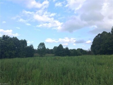 3555 Old Bachelor Creek Rd, Seagrove, NC 27341 - photo 5