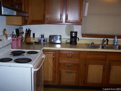 321 E Jackson St, Virginia, IL 62691 - photo 6